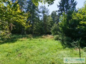 Impressionen