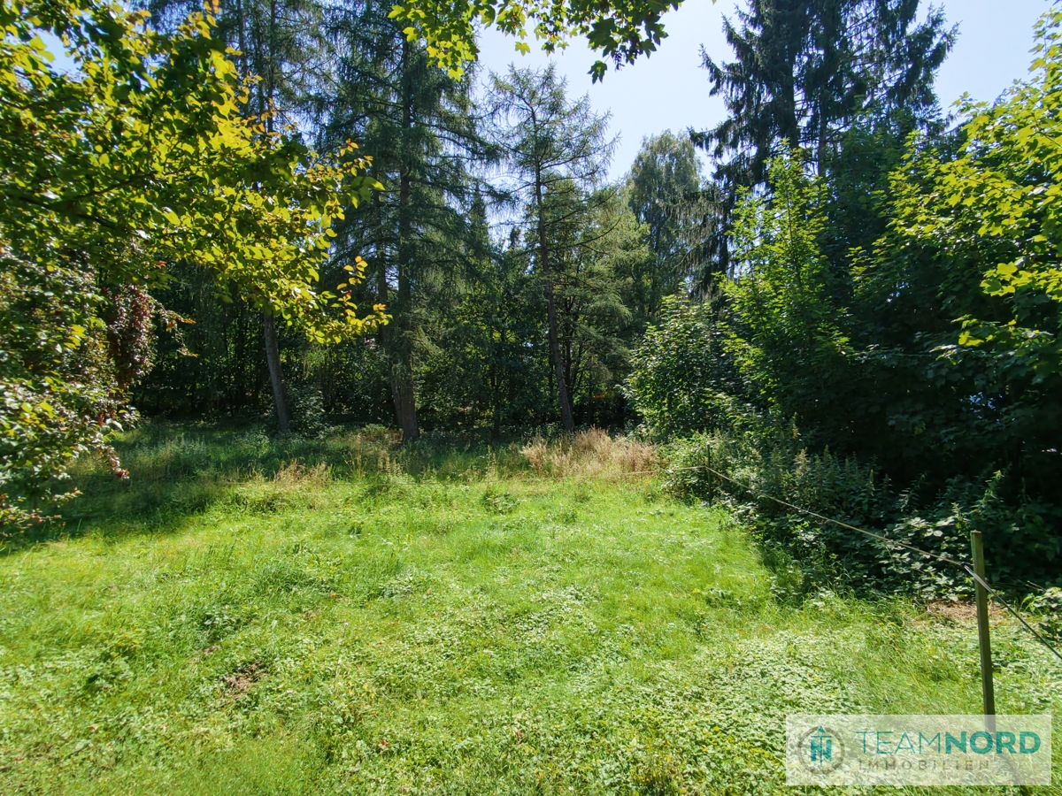 Impressionen